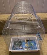 Klatka dla papugi z akcesoriami