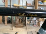 Rower viva