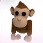 Monkey - Adopt Me Roblox