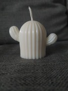 świeczka sojowa kaktus 