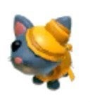 Halloween golden mummy cat- Adopt me