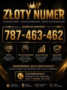 787_463_462 Złoty Srebrny Numer VIP Firma Łatwy Prosty Starter Heyah