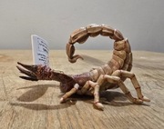 Papo skorpion figurka model wycofany z 2016 r
