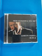 how wonderful you are gordon haskell the best of