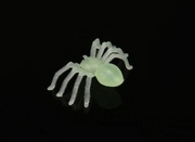 Pająk pajęczak sztuczny obrzydliwy !!