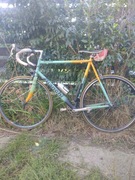 Bianchi rower wyczynowy