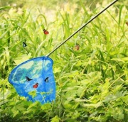 Podbierak uniwersalny do ryb, motyli i basenu – zestaw ogrodowy