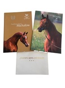 Konie Arabskie - SK Michałów - katalogi