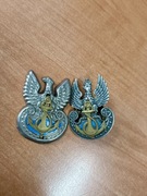 Orzełki marynarki wojennej p1 