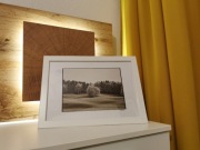 Fotoobraz, Fotografia, Obraz, Zdjęcie, Las, laki