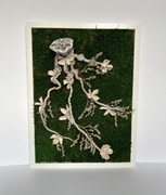 Obraz z mchu „Nature’s Nook”