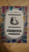 A.A. Milne Chatka Puchatka Irena Tuwim Nasza Księgarnia