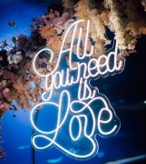 Ledon All you need is love 