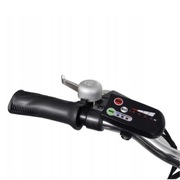 Vida XL - Elektryczny rower składany - Czarny - 250 W  - 20"