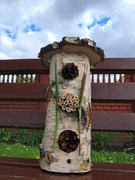 Insekt domek hotel dla owadów