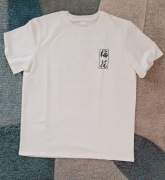 T-shirt męski , Z JAPOŃSKIMI  MOTYWAMI  , rozmiar L