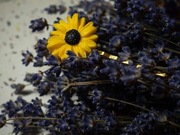 Spinka do włosów w kształcie słonecznika