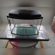 Akwarium 72l z pokryw