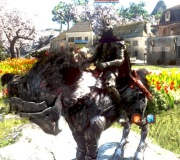 Black Desert Konto 807gs full kamienie  Steam Crimson Desert +