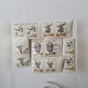 (350) fi 2602-07 kasowane parki