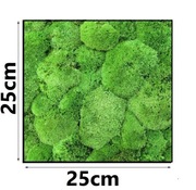 | MECH PODUSZKOWY 25x25 cm | naturalny dekoracyjny