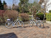 Rower trekkingowy Kross Trans Pacific