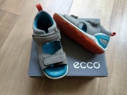 Ecco biom rozmiar 25