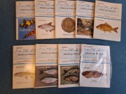 Przegląd rybacki zestaw