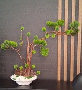 Sztuczne drzewko bonsai 58 cm 