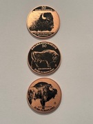 Żubr. Zestaw kolekcjonerski. 3 sztuki. Miedź fi 32 mm. Gyges