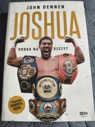 John Dennen - Joshua droga na szczyt