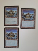Island 1997 Tempest MTG land