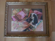 Piekna akwarela cavalier king charles spaniel Warszawa