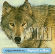 Wilki. Drapieżniki z północy