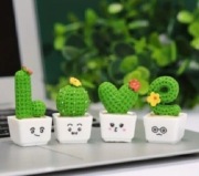 Dekoracja kaktusy miłość love