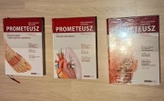 Atlas Anatomii Prometeusz Tomy 1-3 - nomenklatura Angielska.