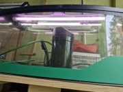 Akwarium 185 L z pokrywą i filtrem zewnętrznym Eheim 2217