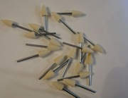 Ściernica trzpieniowa filcowa 