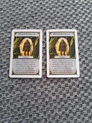 Talisman Magia i Miecz: karta ZAKLĘĆ/CZARÓW - 1 sztuka: teleportacja