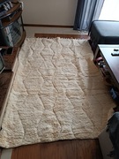 Marokański, berberyjski dywan wełniany biały/kremowy