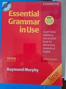RAYMOND MURPHY ESSENTIAL GRAMMAR IN USE