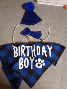 Ubranko urodzinowe dla psa lub kota 