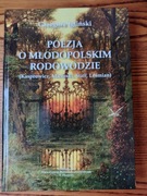 Igliński Poezja o młodopolskim rodowodzie NOWA