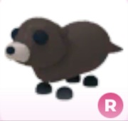 Otter R - Adopt Me Roblox