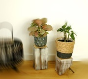 Kwietnik drewniany ARTstyle lite drewno, podstawka