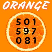 Starter Orange kultowy prefiks 501 597 081 złoty prosty łatwy ciekawy numer