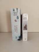 Zafon-Labirynt duchów,Cień Wiatru