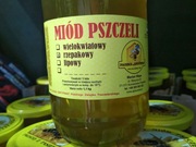 Miód rzepakowy z własnej pasieki