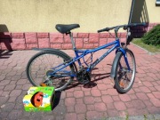 Rower młodzieżowy Victus