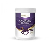 HorseLine PRO ChondroProtect preparat na zdrowe stawy oraz ścięgna koni900g
